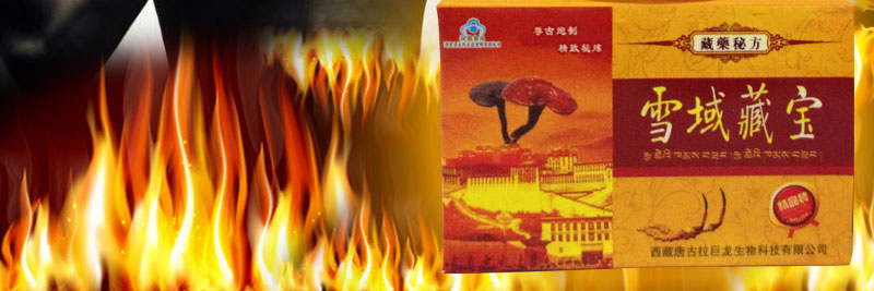 雪域藏宝
