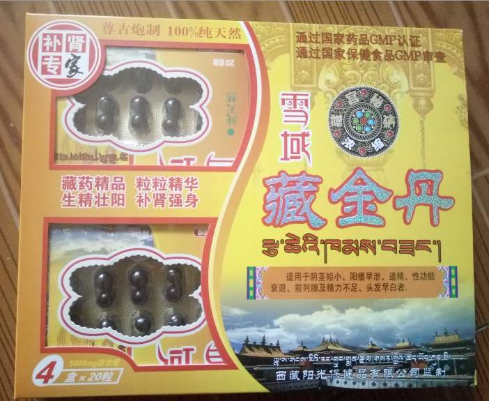 雪域藏金丹